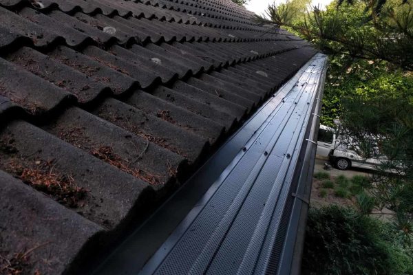 dakgootbescherming-tegen-dennenaalden-na